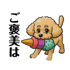 トイプードル8挨拶