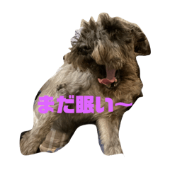 Ray_20250508005227