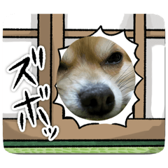 yukari_20250508002109