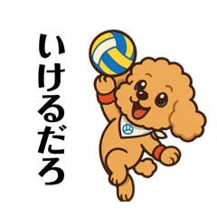 トイプードル8会話