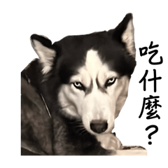 Laljegean. Gariy_20250508100837