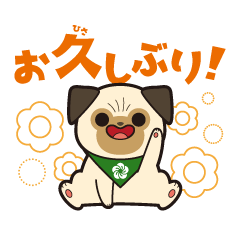 パグのうめちゃん ～基本のスタンプ～