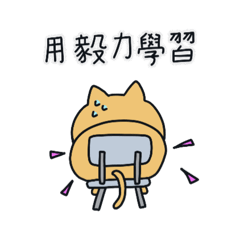 一隻學習中的月貓