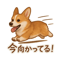 コーギー・コーギー