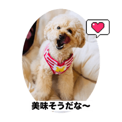 Kinako_20250508105630