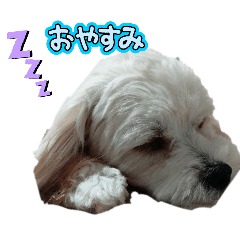 hiro-20250508120646
