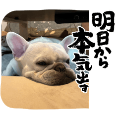 momo_20250508133955