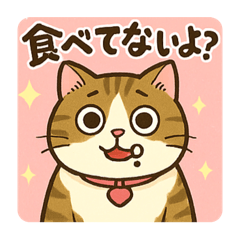 rina_20250508040612