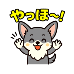 chihuahua kotetsu colorgreeting