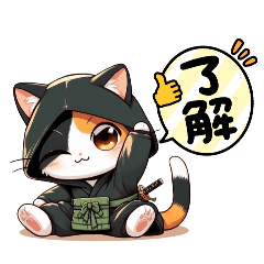 ninja kids