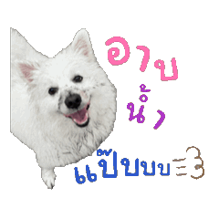 Eiei_20250509020634