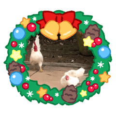 Family chicken banana