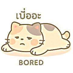Super Lazycutecat