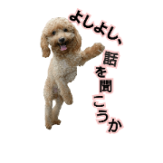 dogs smile2