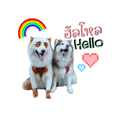 Joyaran_20250508161050