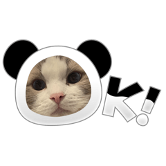 Kidmud n Kidme