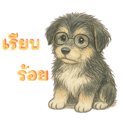 Cocoa the memory dog