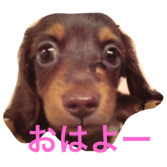 I love hime