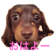 I love hime