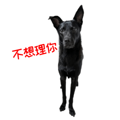 Don't Talk to Me Today