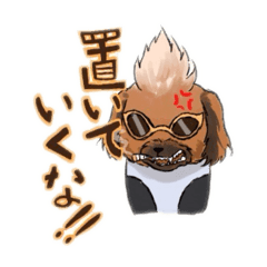 NPO法人わん'sLinkの団長来夢（らいむ）