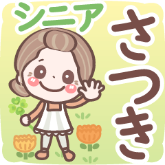 Pretty senior stickers Ver.6-1 Satsuki