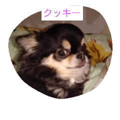 Kuki-