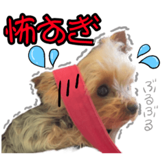 情緒不安定なひめ♡