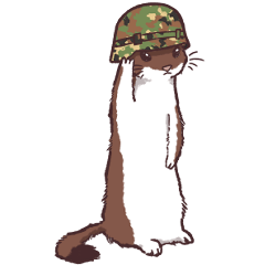 Japan Self-Defense Forces Ermine