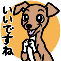 【レッド4】1年中使える♡パピーイタグレ