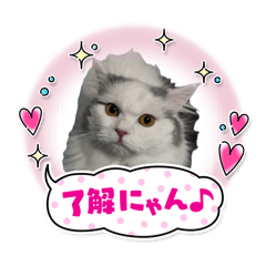Mochi_20250508214920