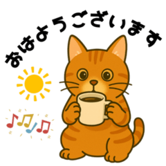 Chill Chats with the Orange & Gray Cats
