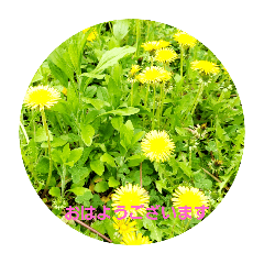 優しい、美しい言葉