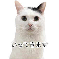 まつもとたける２（セリフ付き）