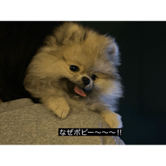 ちゃむの字幕スタンプ