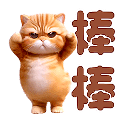 動感舞星 - 強迫營業 (橘貓HD)