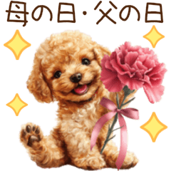 Toy Poodles Mothers and Fathers Day