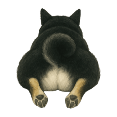 sofie_20250508212745