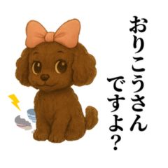 ブラウンのトイプードルの女の子・ラムりん