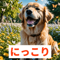 ほっこりわんこの日々くらし