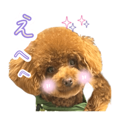 まりも スタンプ2