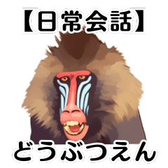 【日常会話】どうぶつえん