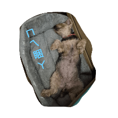 cx522_20250509013225