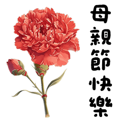 A message to mum on Mother's Day-1