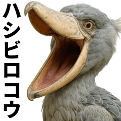 Large photo of a shoebill