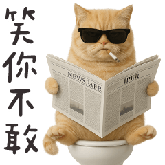 廁所貓貓✩有事廁所喬!笑你不敢✩