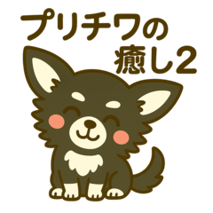 "Pretty Chiwawa Magic!2"