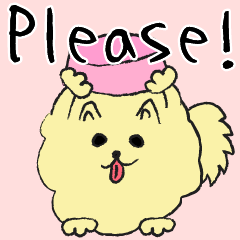 A carefree Pomeranian. -EN-