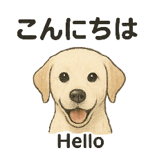 白ラブと学ぶ！英語×日本語スタンプ