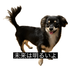 りーりたむたむ